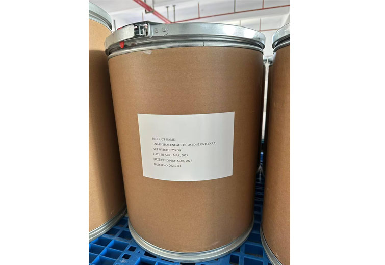 Asam 1-naphthaleneacetic