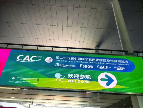 Shanghai CAC 2025-id